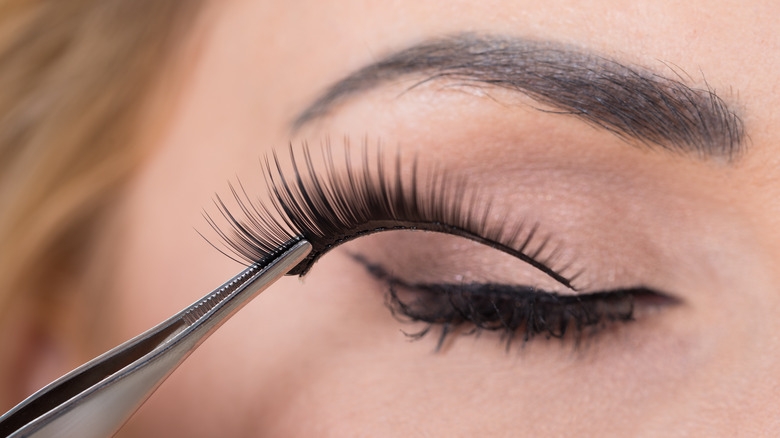 fake eyelash application