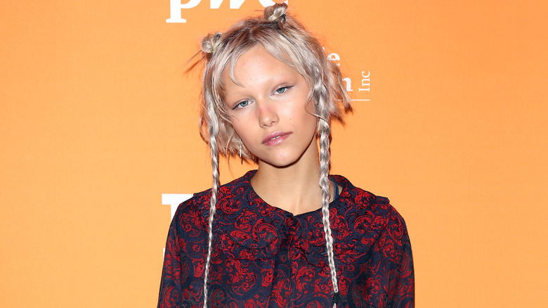 Grace VanderWaal in braids and buns
