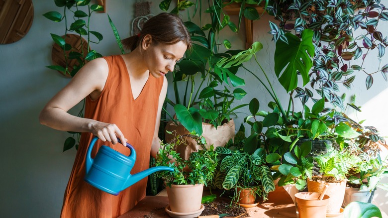 Woman watering plants