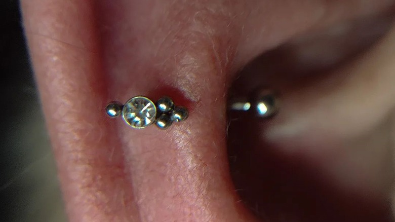 close up of snug piercing