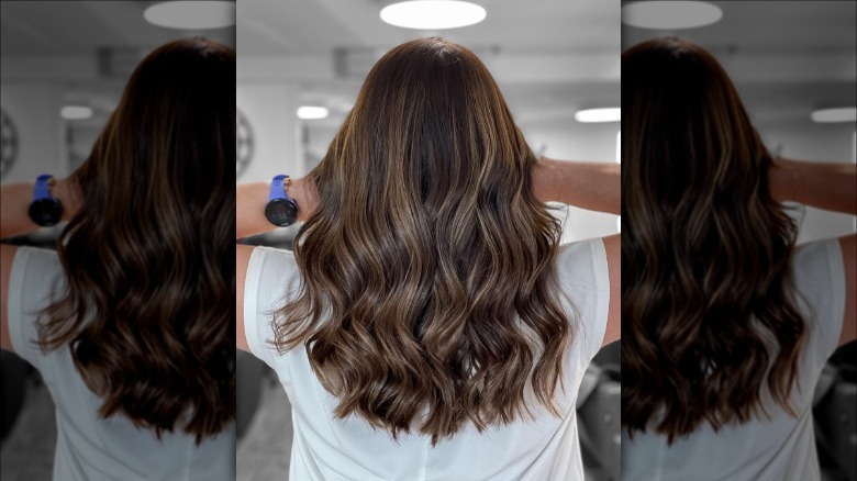 the back of brunette hair