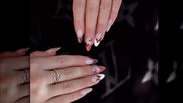 brown, orange, and white butterflies 