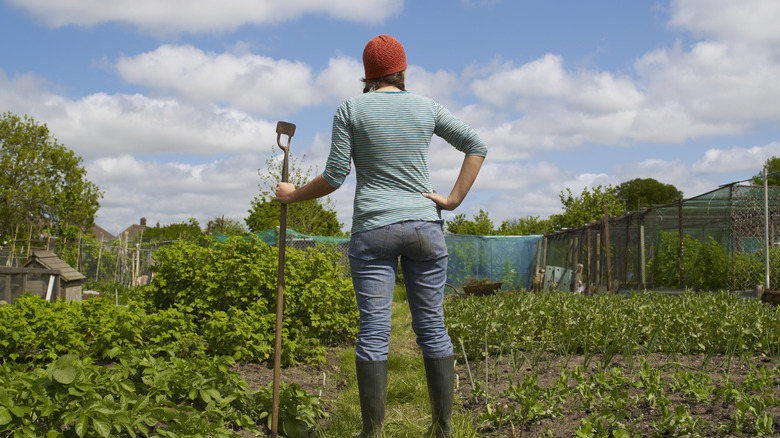 Woman standing in garden