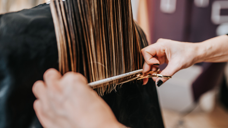 Woman getting a hair cut