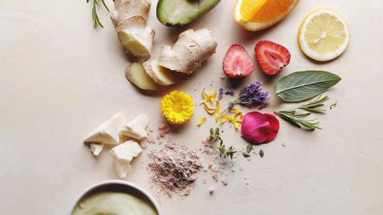 Plants, vegetables, and flowers 