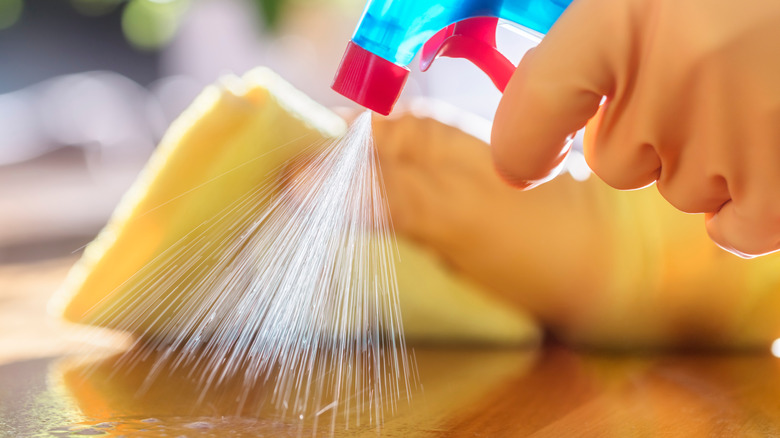person cleaning surface
