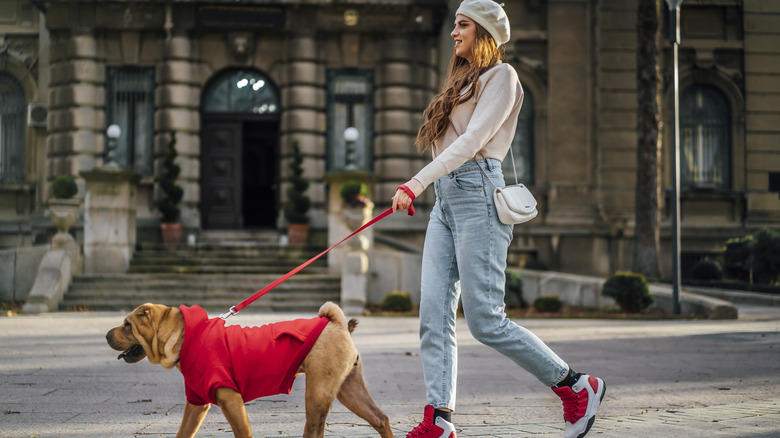 woman walking dog