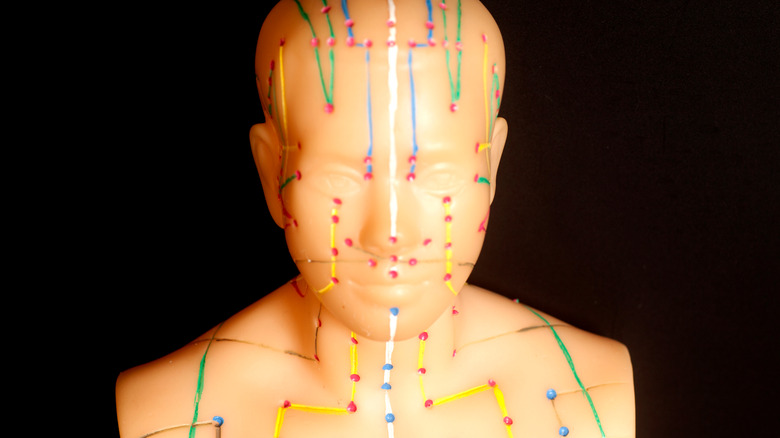 acupunture model