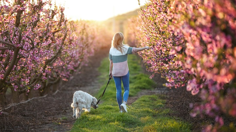 Woman walking her dog in nature