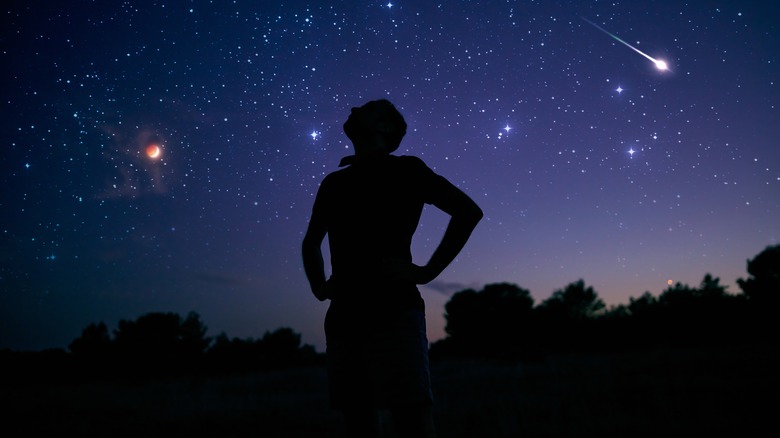 Dark silhouette watches meteor shower