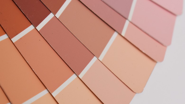 Color sampler showing skin tones