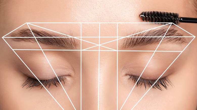 Closeup of a woman's closed eyes with lines measuring brow size and placement.