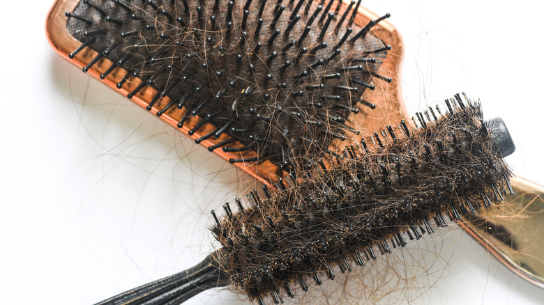Dirty hairbrushes