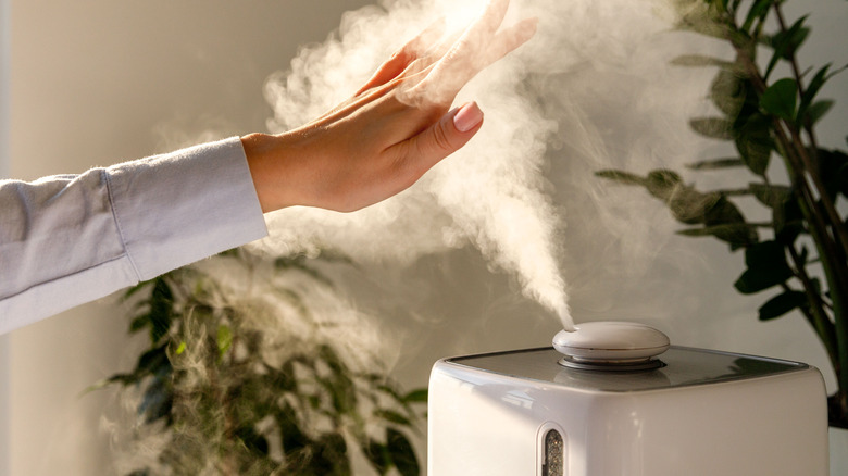 mist from a humidifer