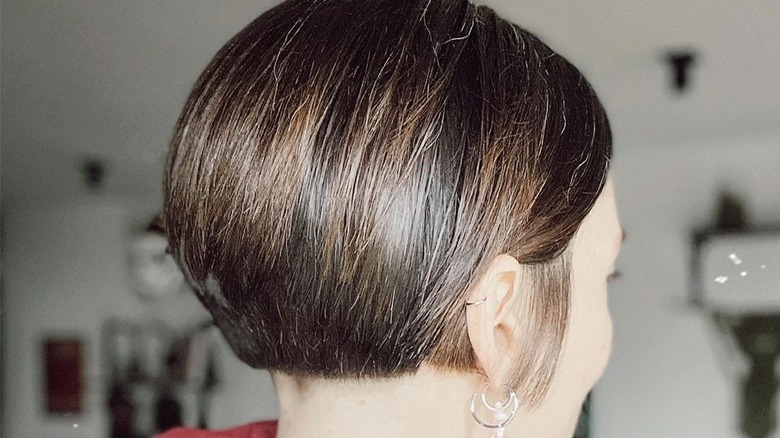 Back of woman's short haircut