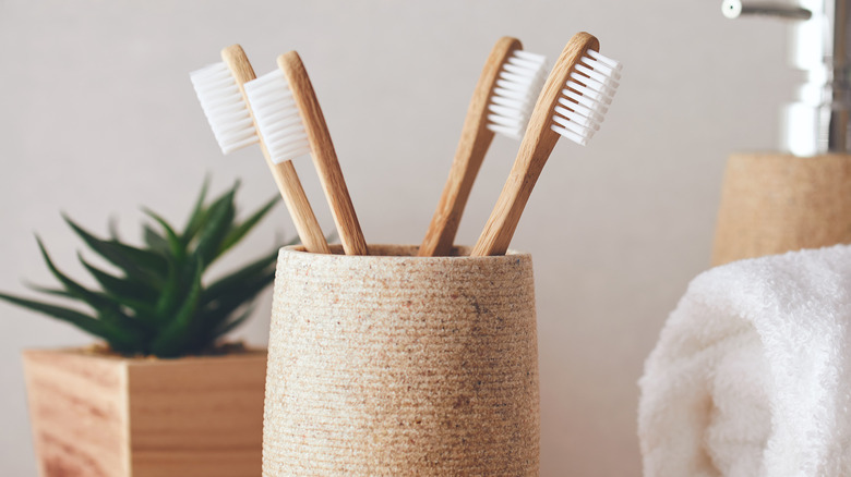 toothbrushes in a bathroom