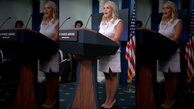 Karoline Leavitt briefs the press on the Epstein files