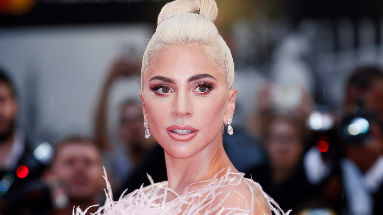 Lady Gaga in a feathered dress