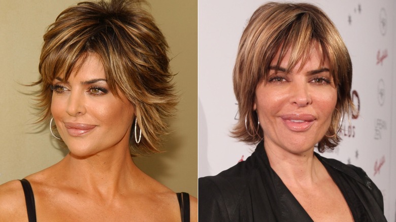 Lisa Rinna in 2005 and 2011