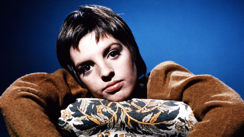 Liza Minnelli posing with her head to the side wearing a brown top against a blue background.