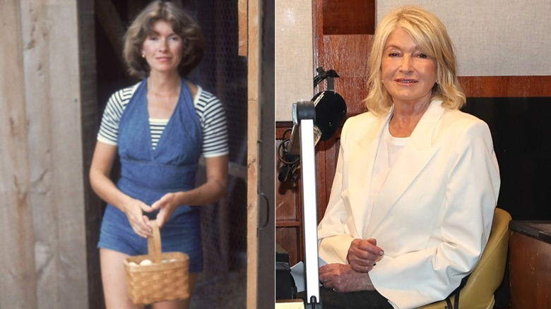 Martha Stewart before and after fillers