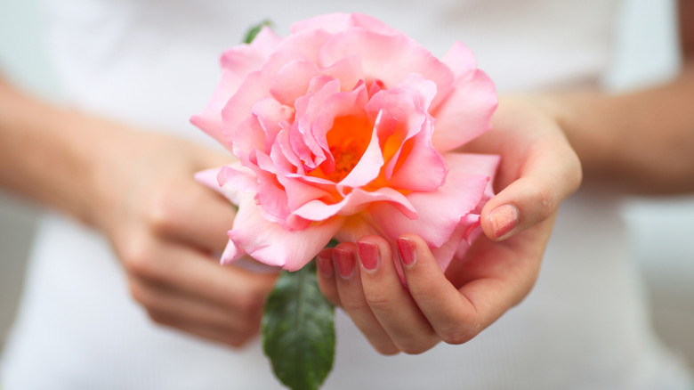 Woman holding a flower with pink nails