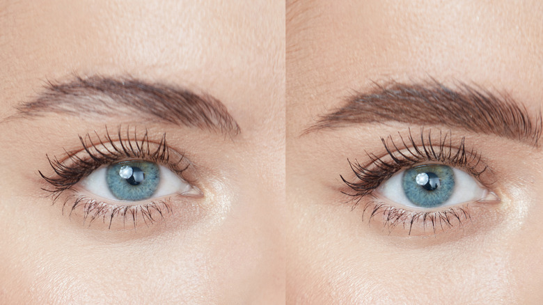 before and after photo of eyebrows