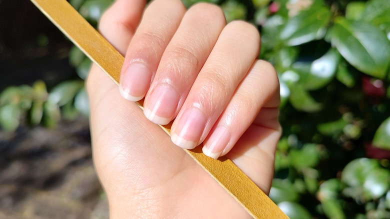 natural bare unpolished nails