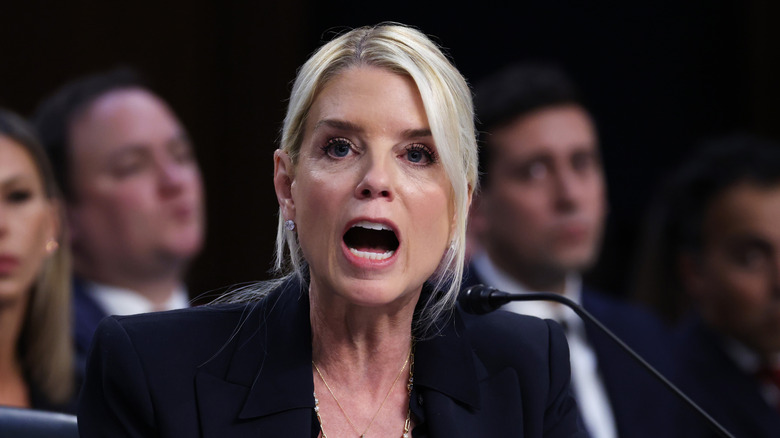 Pam Bondi testifies in front of the Senate
