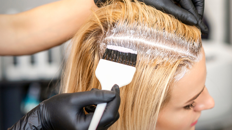 Stylist dyeing brunette roots