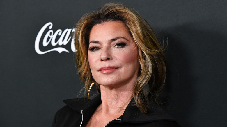 Shania Twain poses in front of a black background in a full-glam makeup look and a caramel hair color
