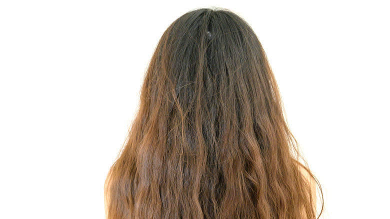 Model with long, frizzy hair