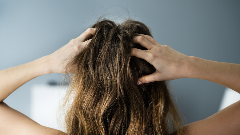 woman touching dry hair