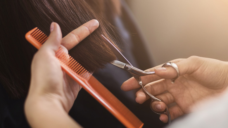woman getting haircut 