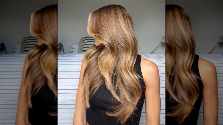Golden sunflower blond hair highlights