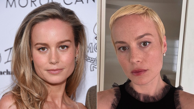 Brie Larson before and after chopping her hair off and bleaching it