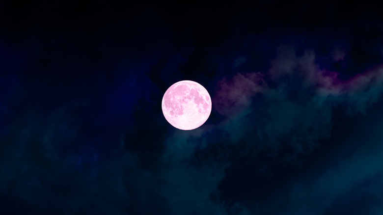 pink supermoon