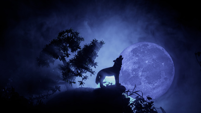 wolf howling at full moon