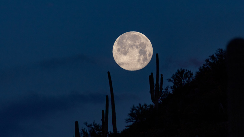 full Worm Moon in 2019