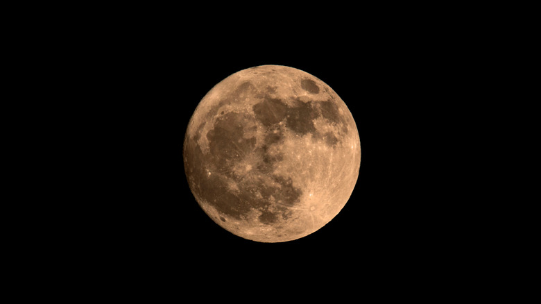 full Beaver Moon in sky