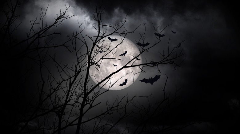 spooky moon behind barren tree