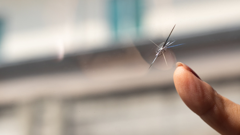 Small chip in a car windshield