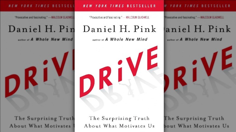 photo of the book Drive