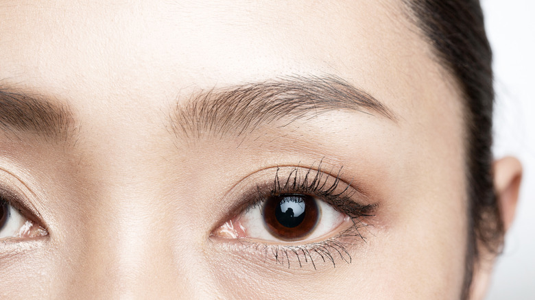 Woman closeup eyebrow