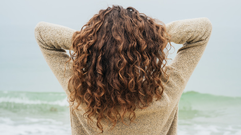 back of woman's head at the beach