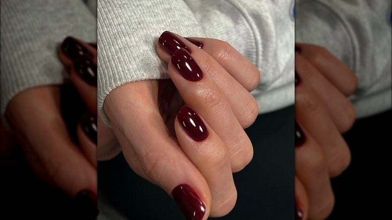 Hand with dark red painted nails 