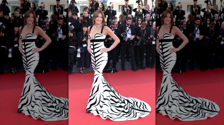 Carla Bruni at the Cannes Film Festival.