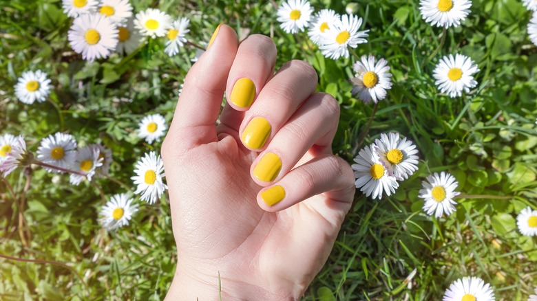 Chartreuse nails against grass and daisies