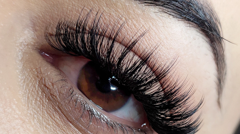 eye with lash extensions
