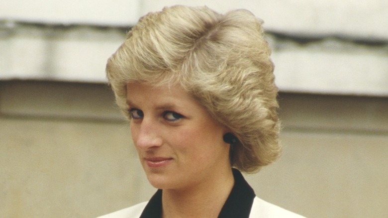 Princess Diana posing in 1988.